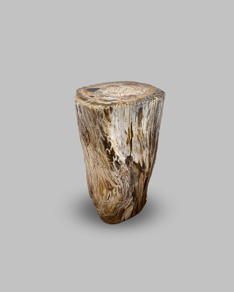 Petrified Stump 68