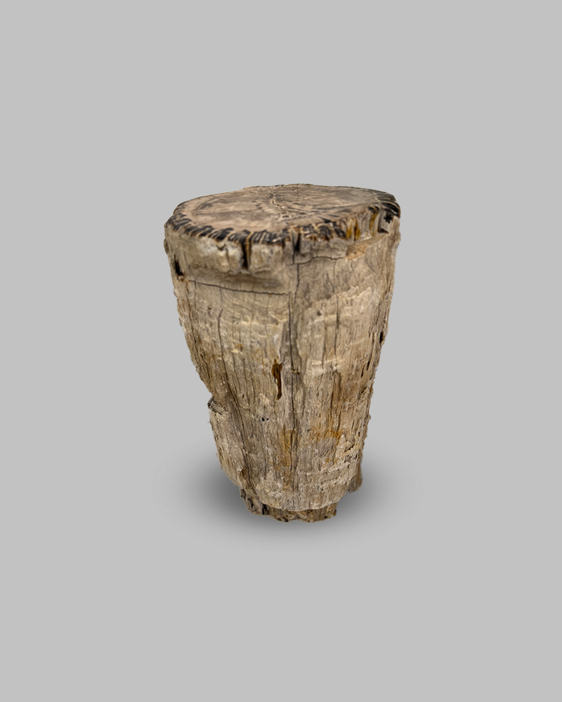 Petrified Stump 69