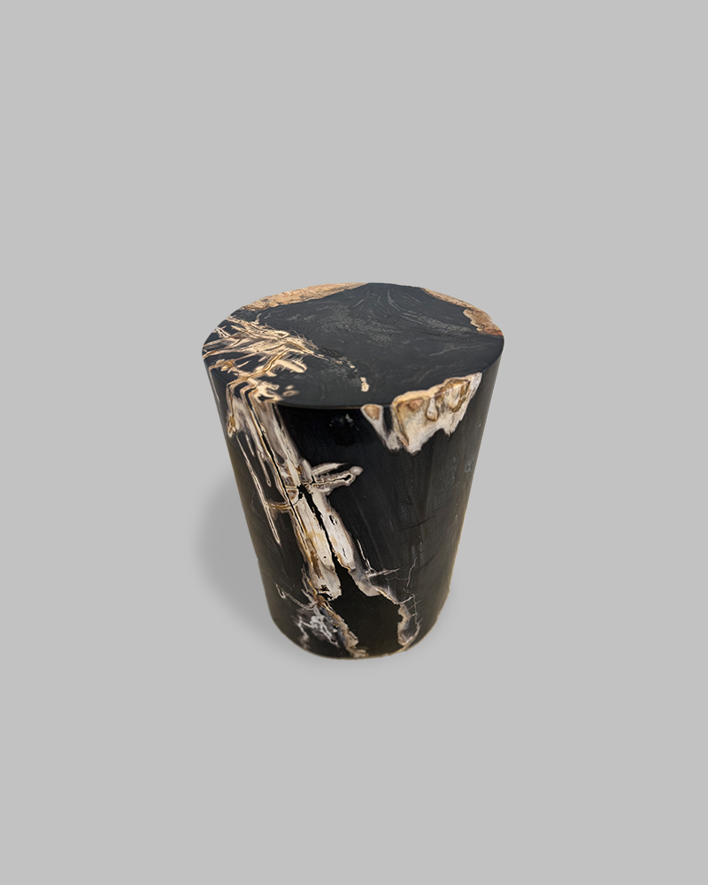 Petrified Stump 70
