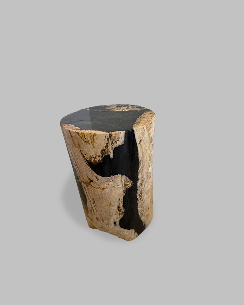 Petrified Stump 70