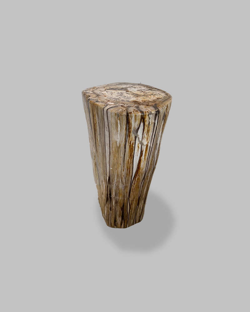 Petrified Stump 71