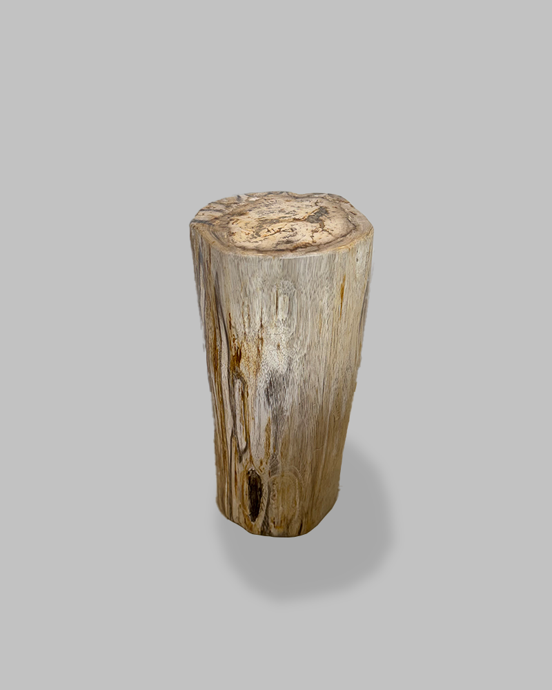 Petrified Stump 71