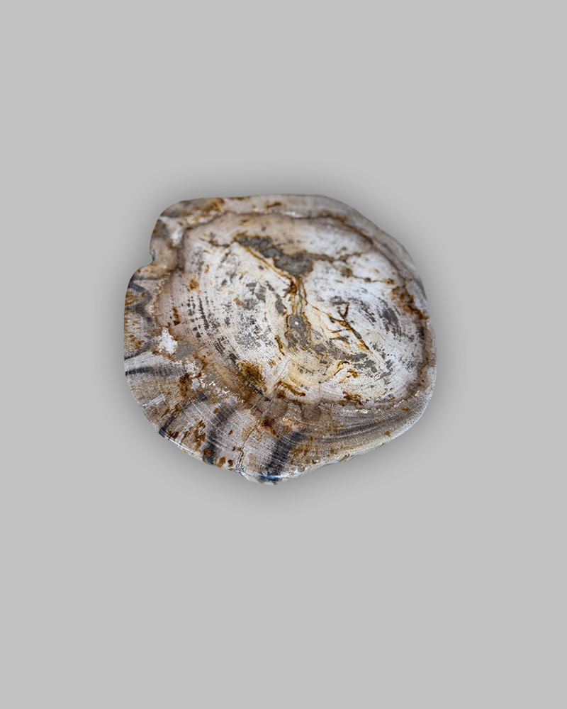 Petrified Stump 71