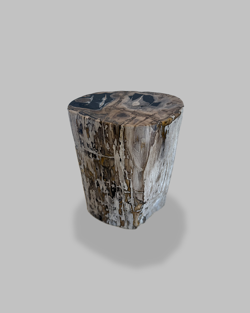 Petrified Stump 72
