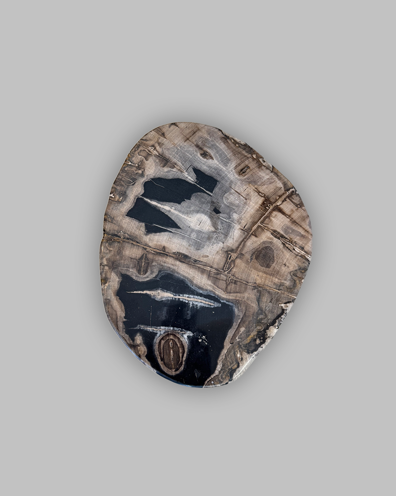 Petrified Stump 72