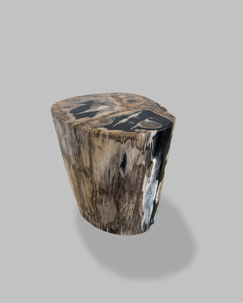 Petrified Stump 72