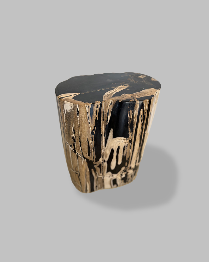 Petrified Stump 73