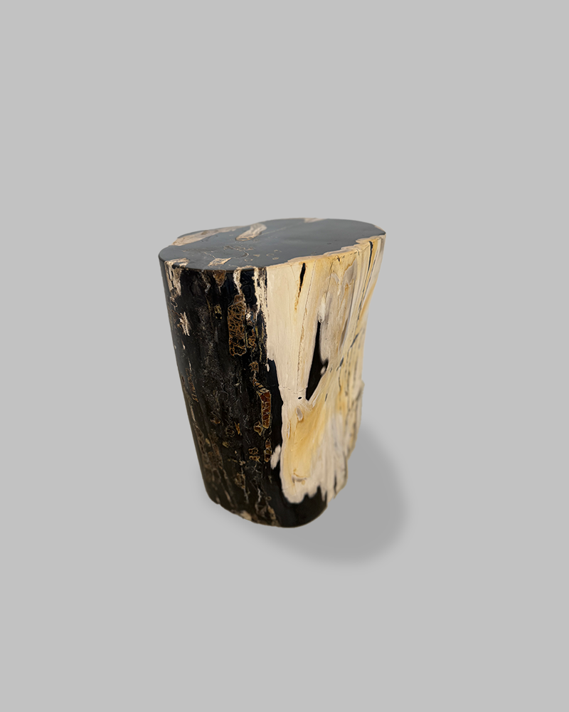 Petrified Stump 73