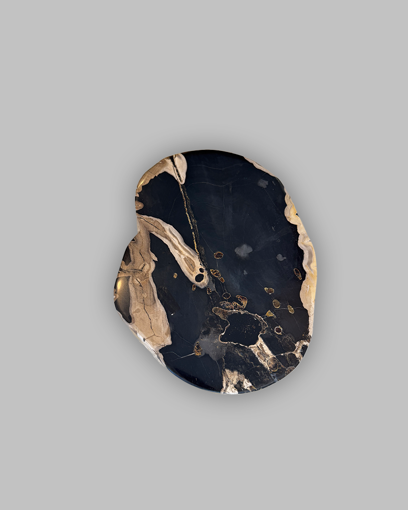 Petrified Stump 73