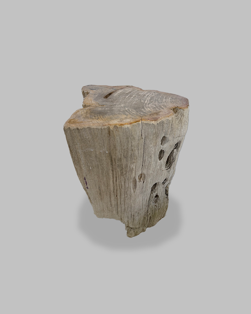 Petrified Stump 74