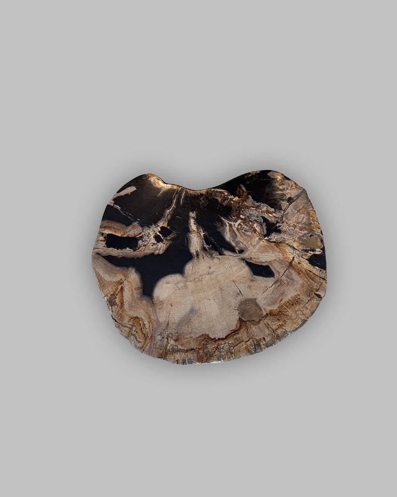 Petrified Stump 75