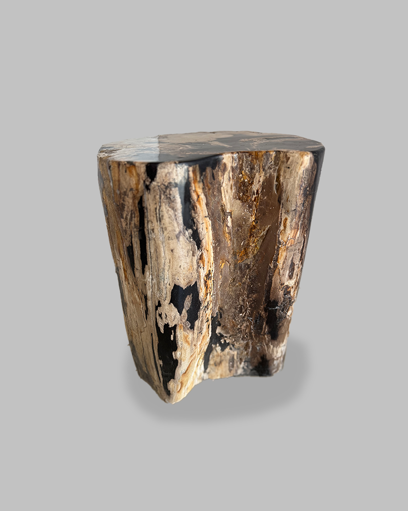 Petrified Stump 75