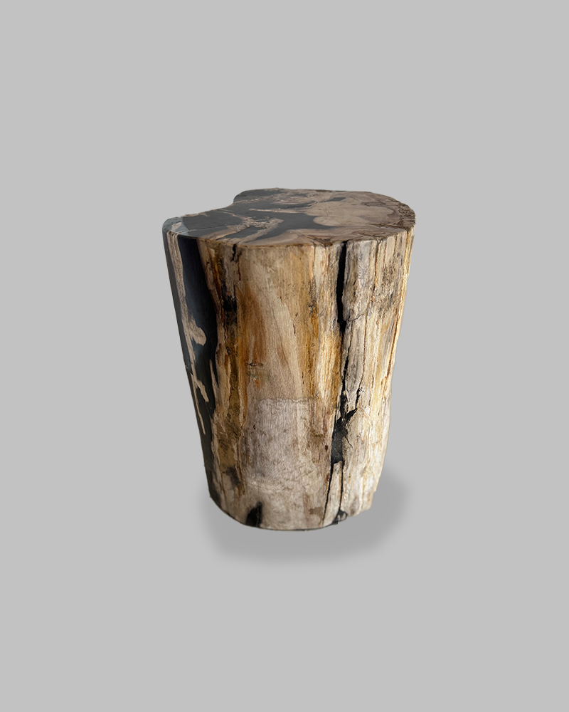 Petrified Stump 75