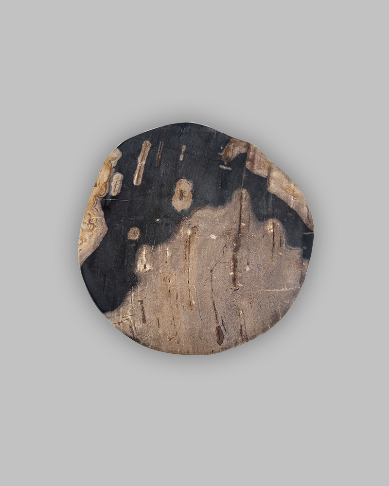 Petrified Stump 76