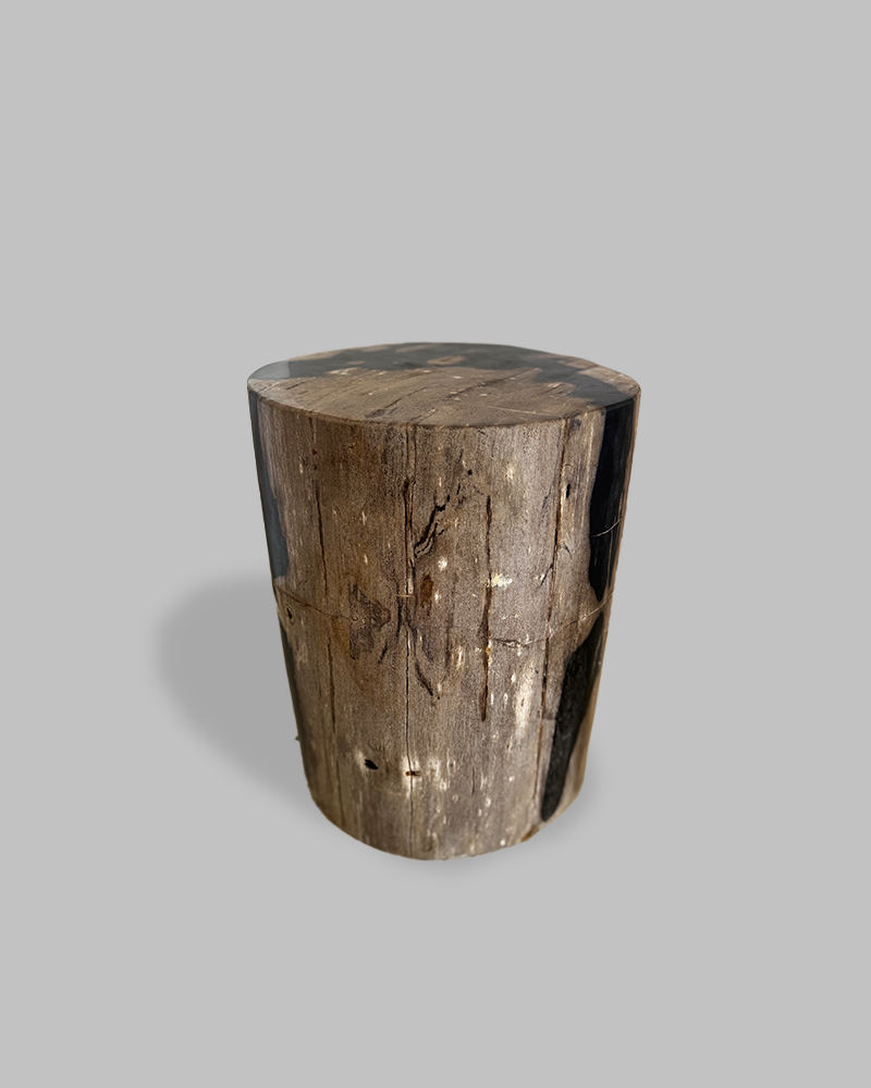 Petrified Stump 76