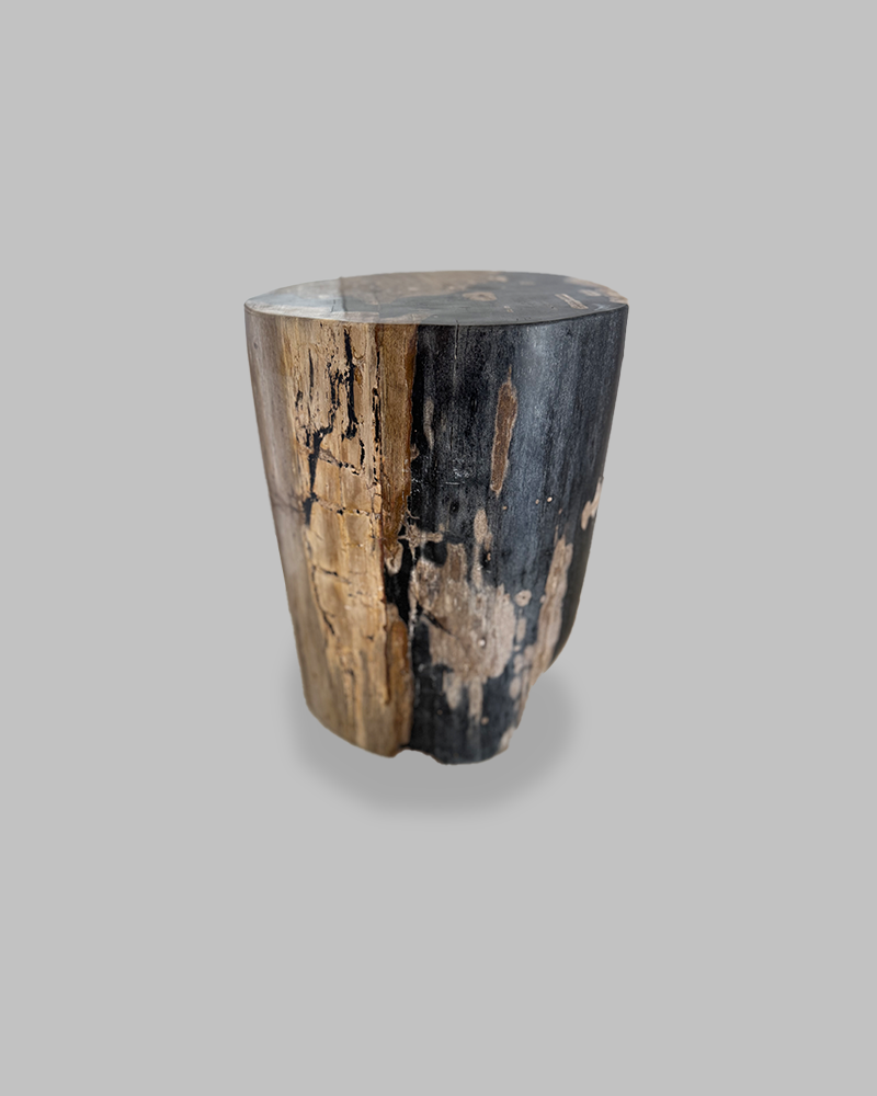 Petrified Stump 76