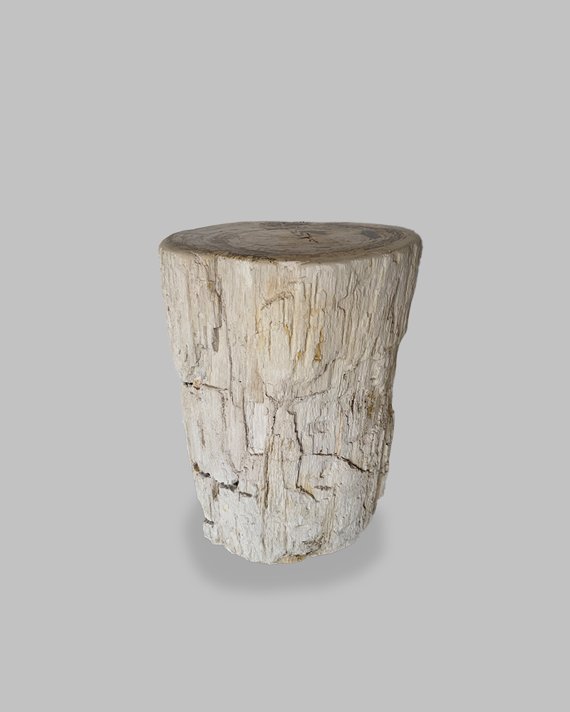 Petrified Stump 77