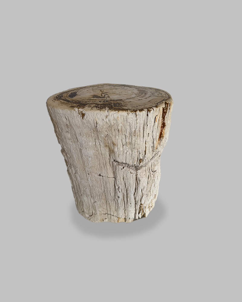 Petrified Stump 77