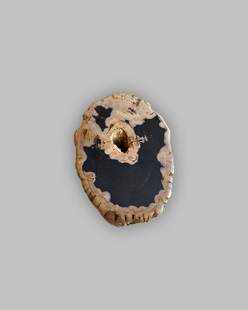Petrified Stump 78