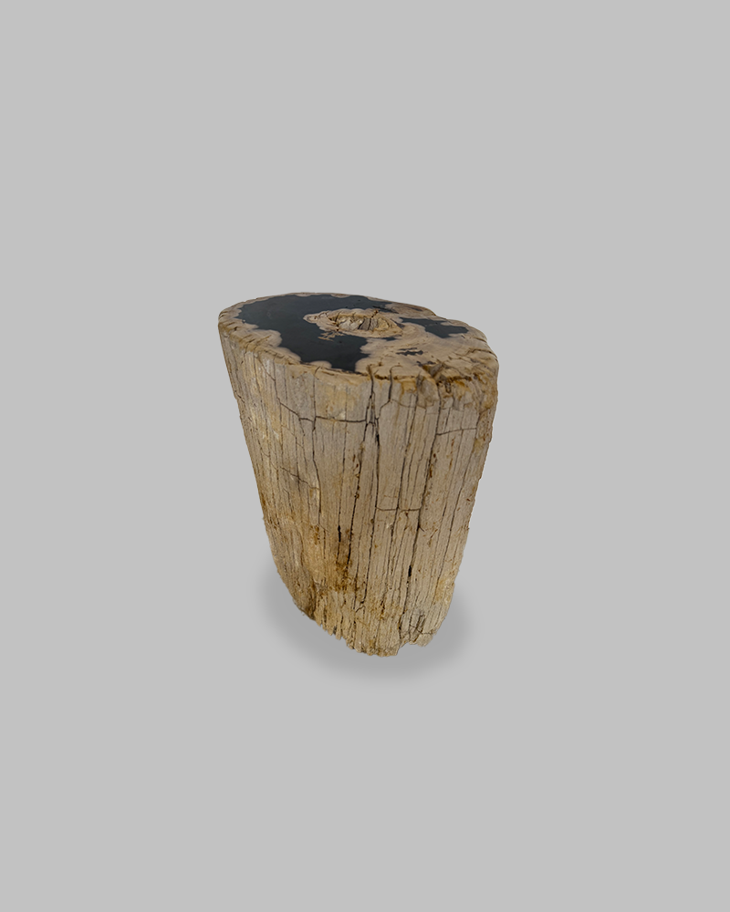 Petrified Stump 78