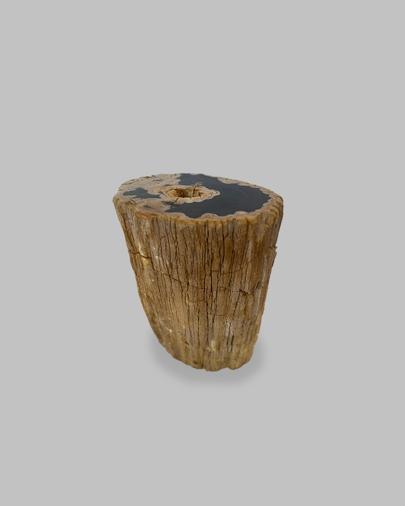 Petrified Stump 78