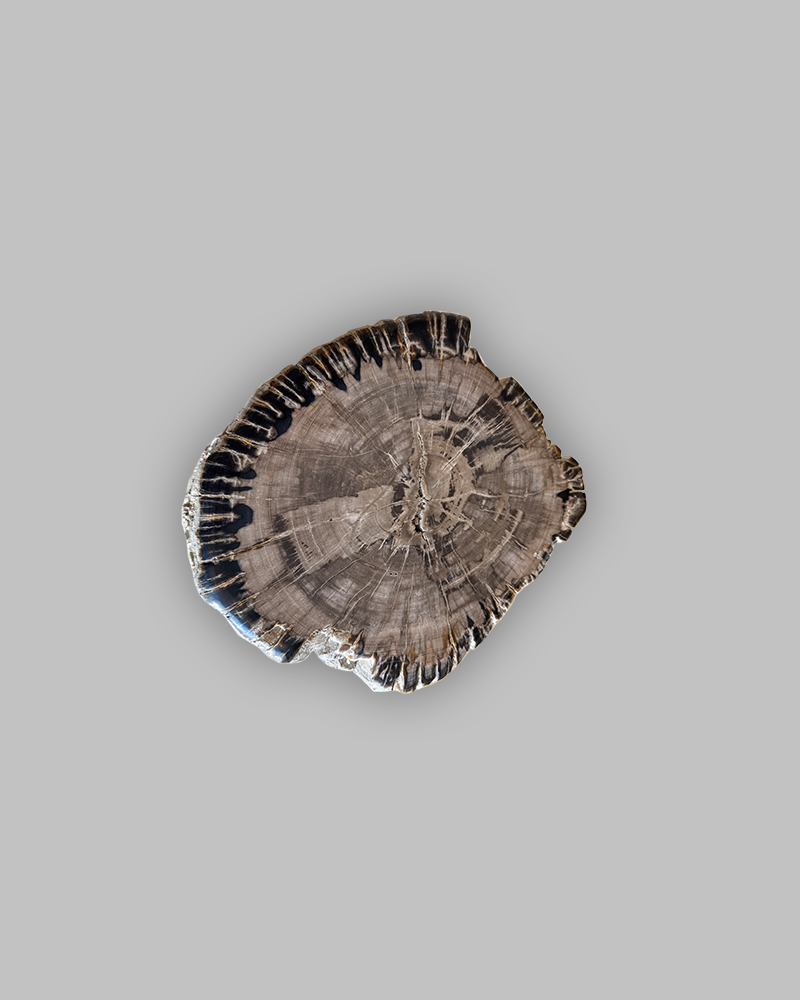 Petrified Stump 79