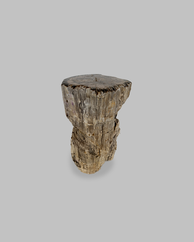 Petrified Stump 79