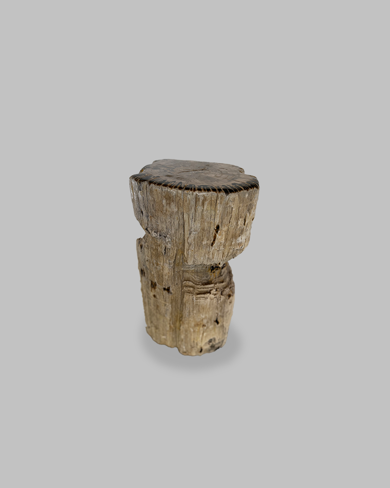 Petrified Stump 79