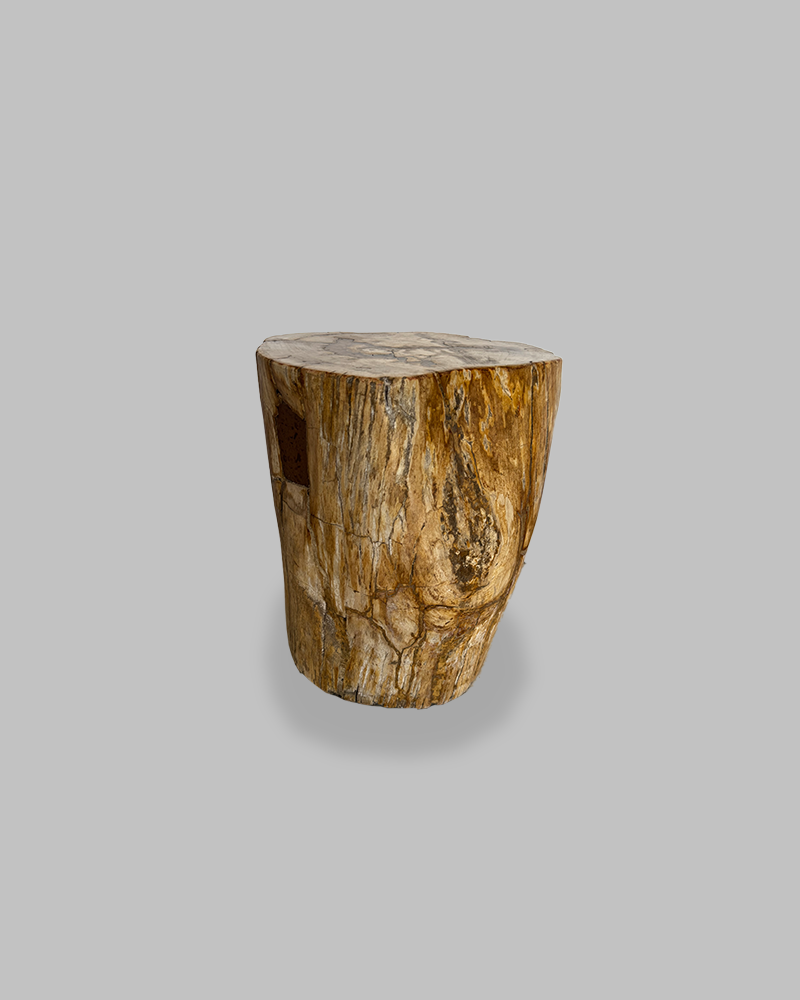 Petrified Stump 80