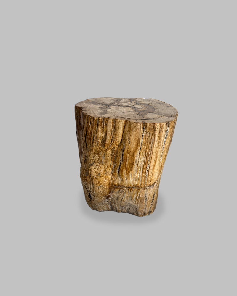 Petrified Stump 80