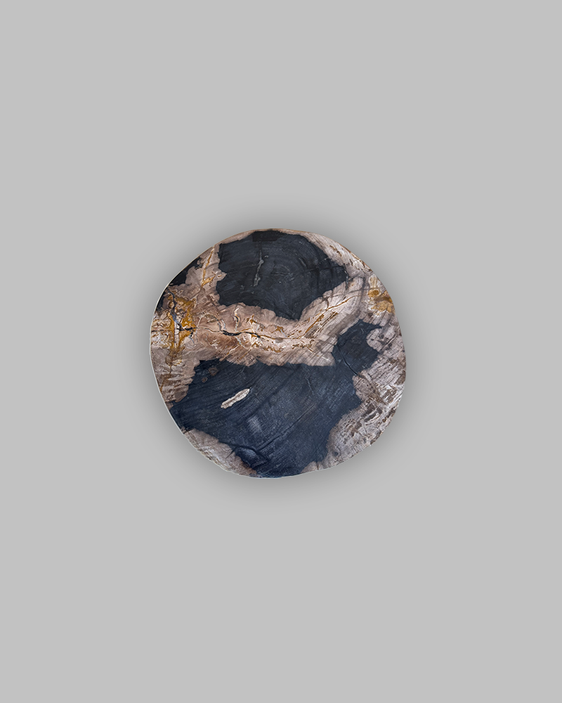 Petrified Stump 81