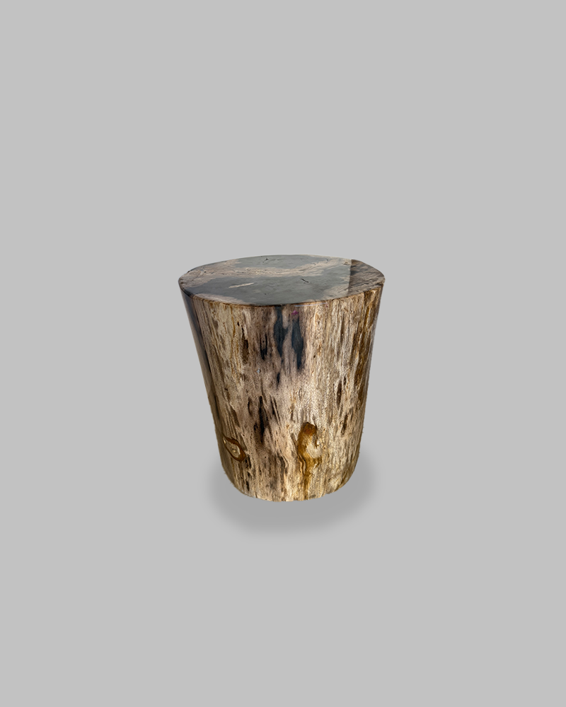 Petrified Stump 81