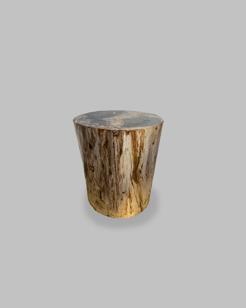 Petrified Stump 81