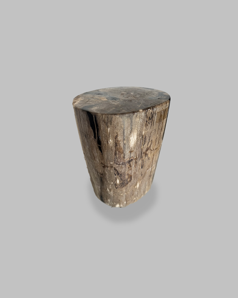 Petrified Stump 82