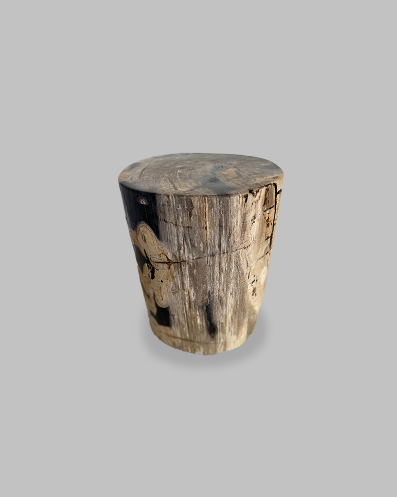 Petrified Stump 82