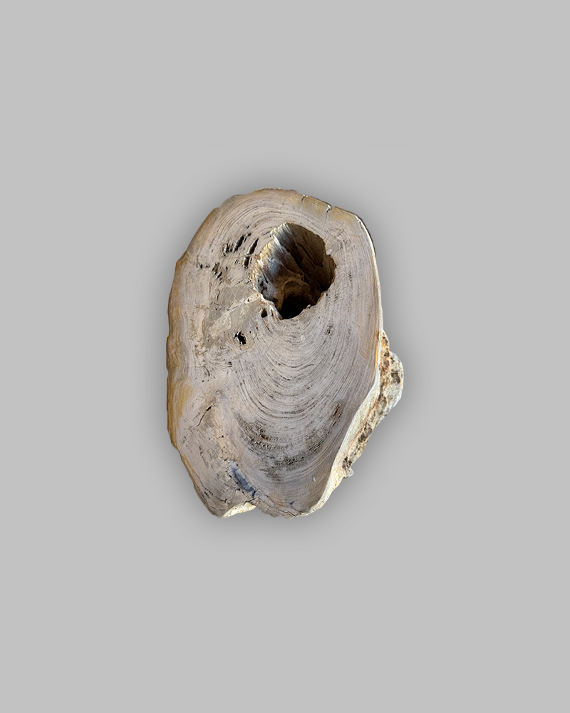Petrified Stump 83