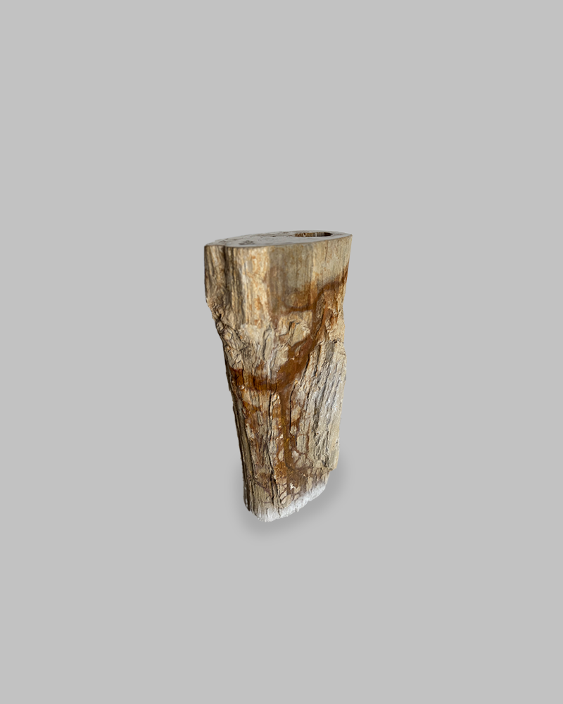 Petrified Stump 83