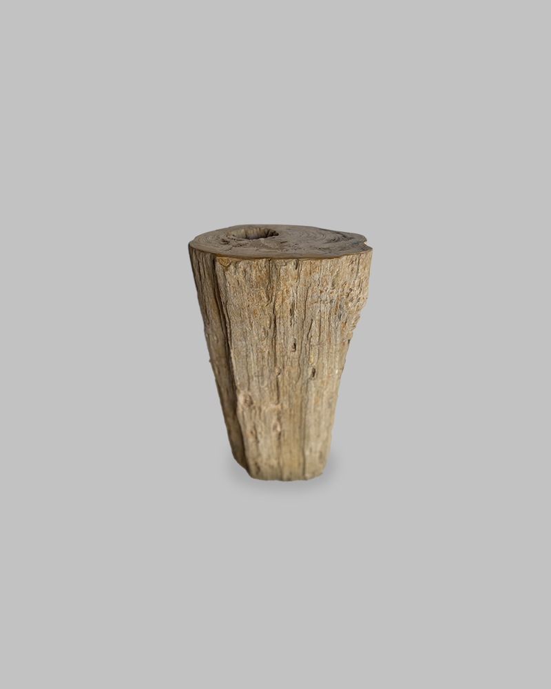 Petrified Stump 83