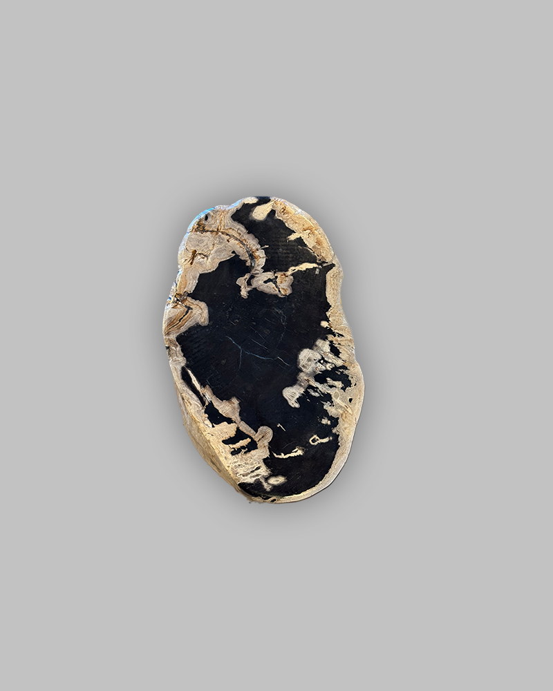 Petrified Stump 84
