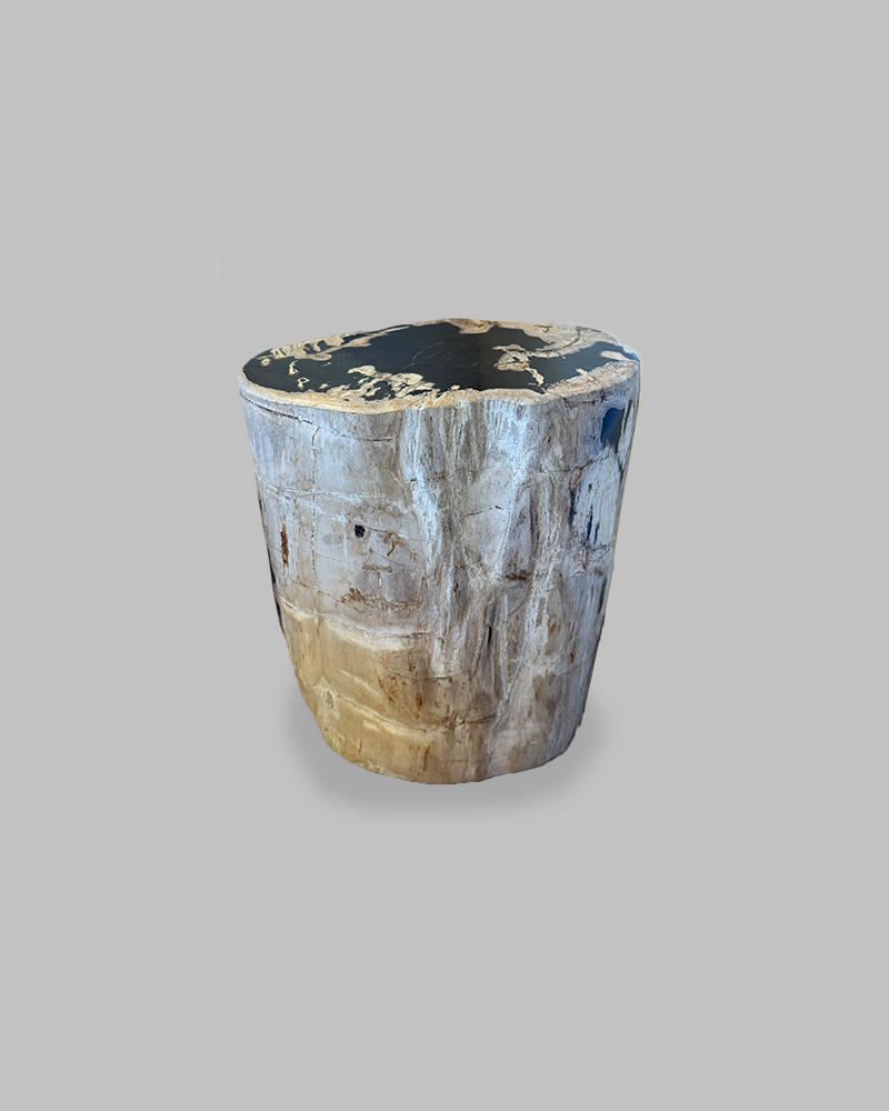 Petrified Stump 84