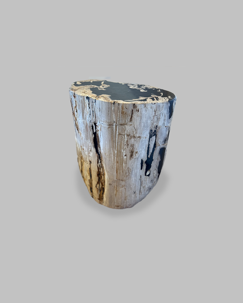 Petrified Stump 84