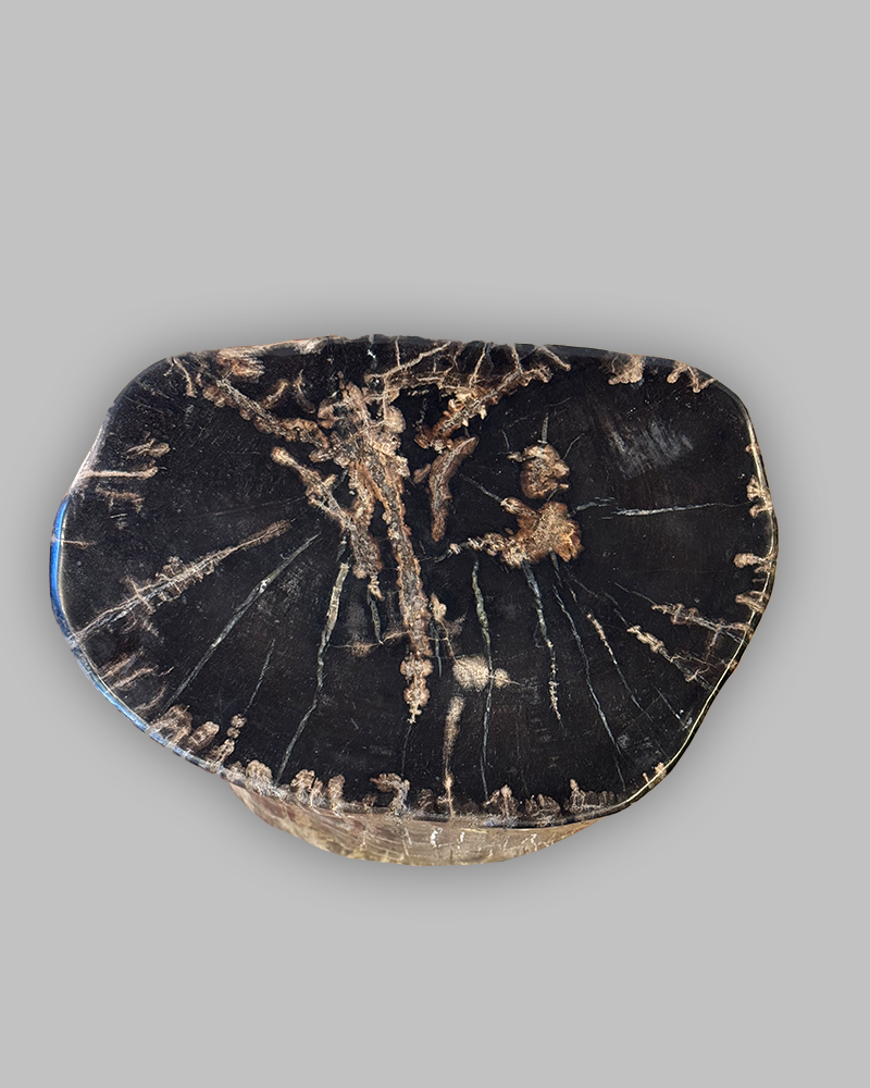 Petrified Stump 85