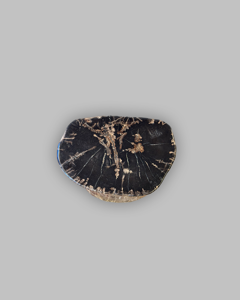 Petrified Stump 85