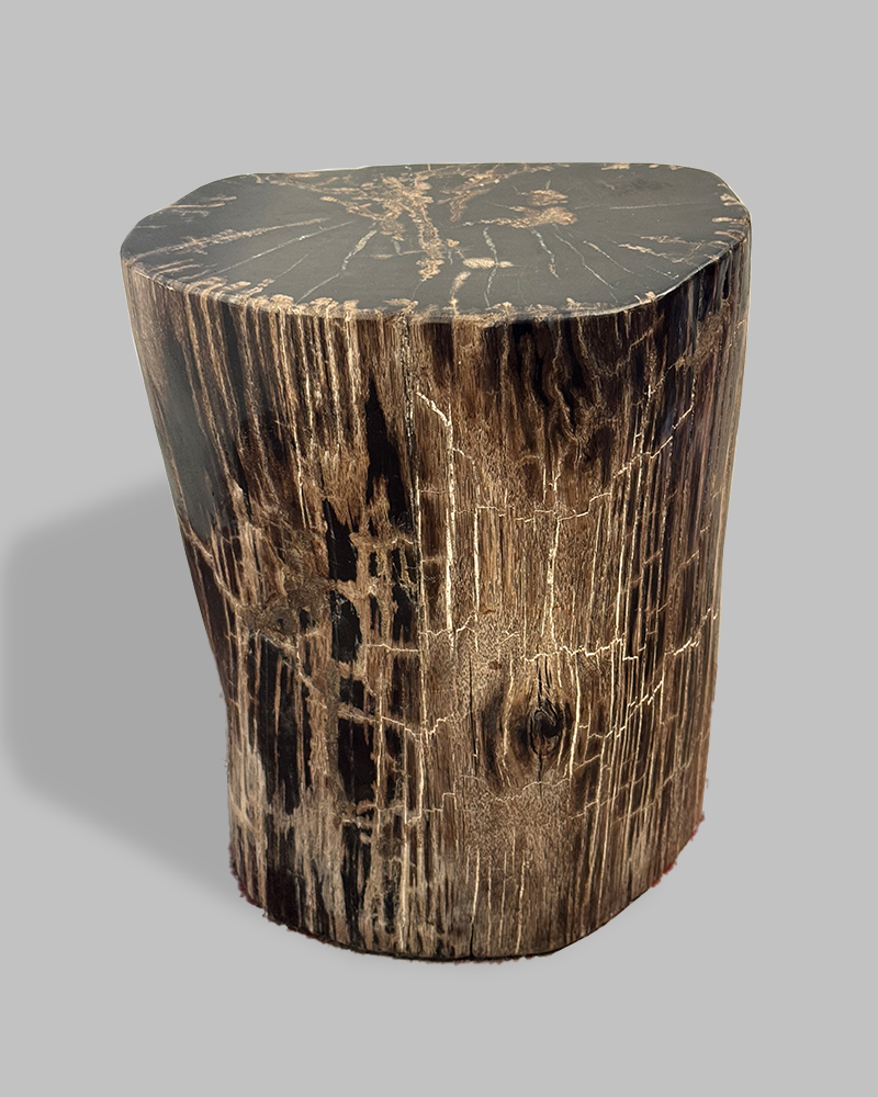 Petrified Stump 85