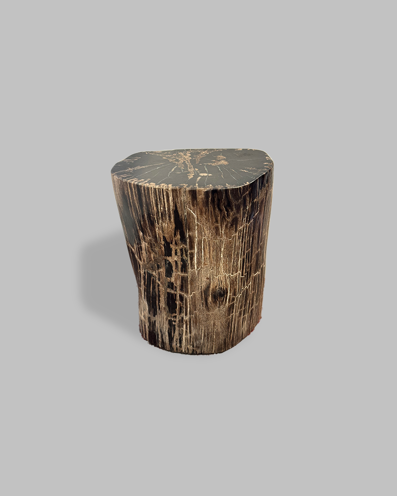 Petrified Stump 85