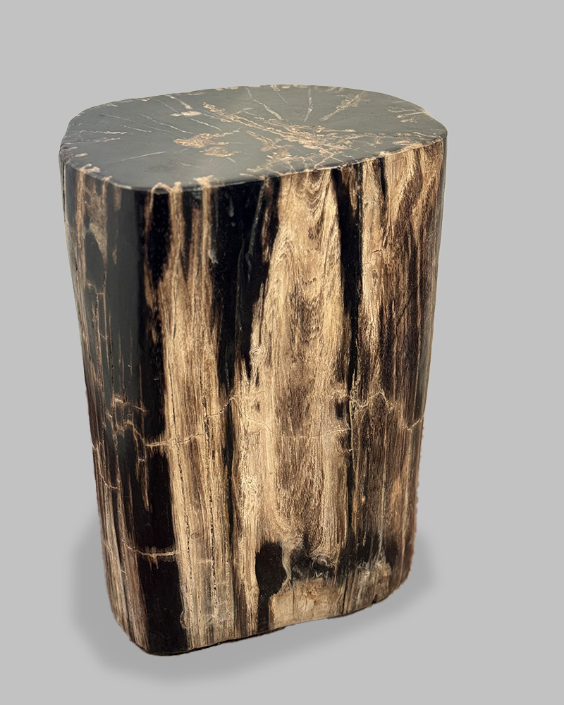Petrified Stump 85