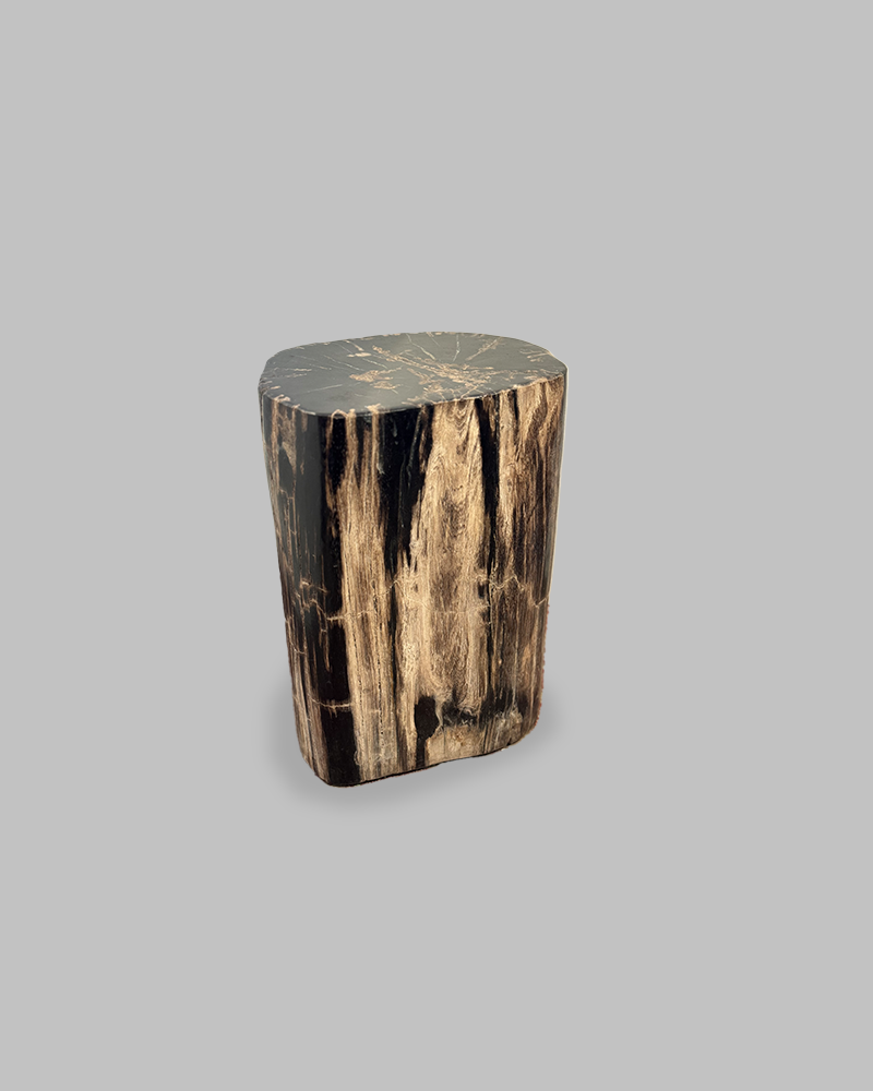 Petrified Stump 85