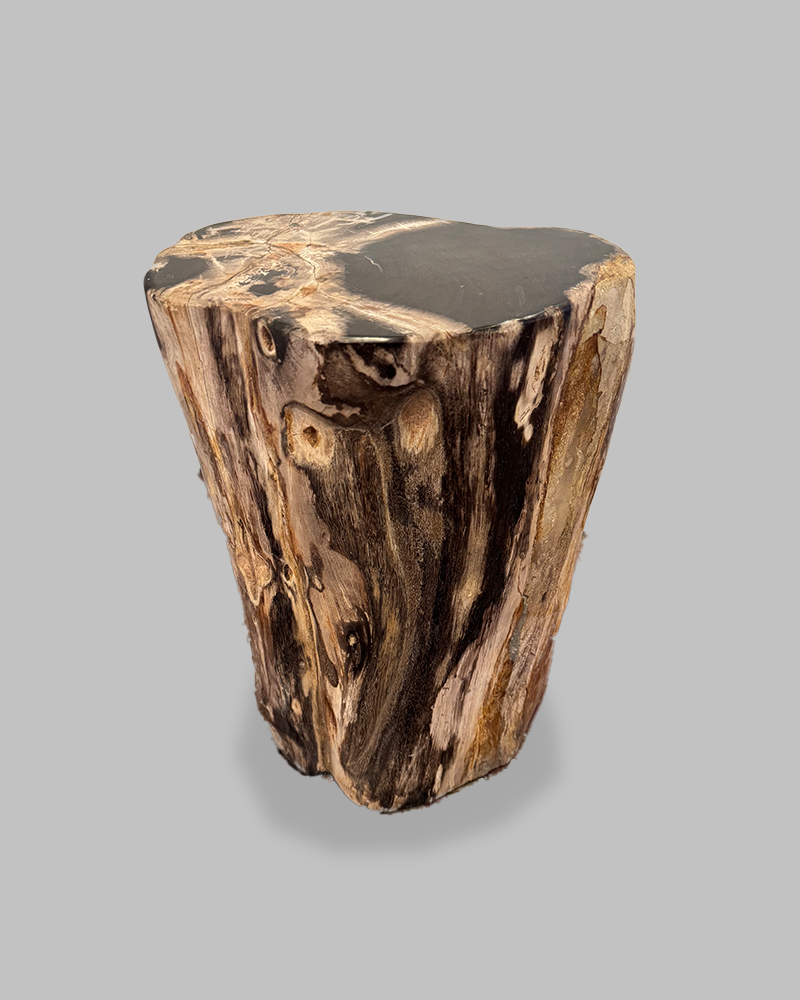 Petrified Stump 86