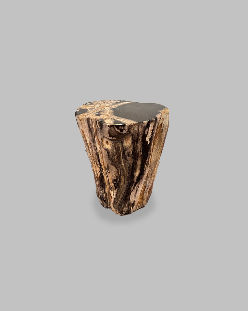 Petrified Stump 86