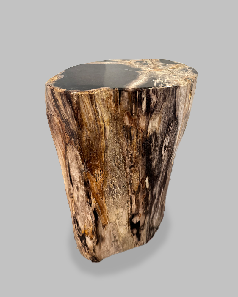 Petrified Stump 86